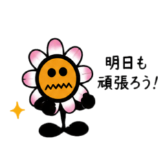 avy_20260507071713