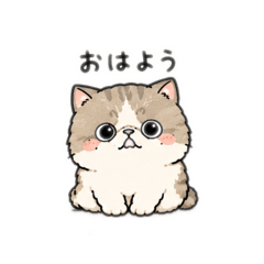 fumiyo_20260508235256