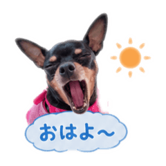 minipin_20260508235527