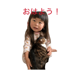 oisi_20260508235410