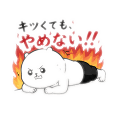 gold.gold.rv_20260508235954