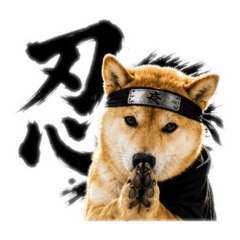SHIBADAMA