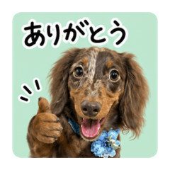 Noa_20260509000025