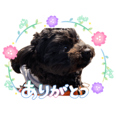 yuna_20260509154646