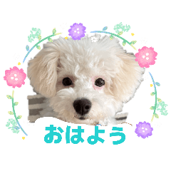 masaki_20260509155132