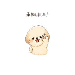 every day dogs love