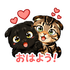 Ohtomo_20260509182040