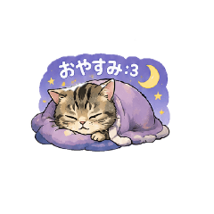 nahoho_20260509185708