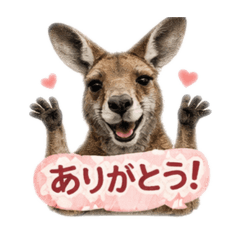 toha_20260509185946