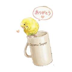 fumi_20260509190252