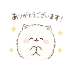 kinako_20260509190259