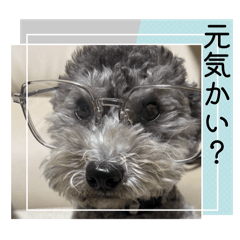 nori_20260509190036