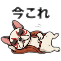 KABUKI BULLDOG san