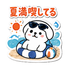 ss_20260509191120