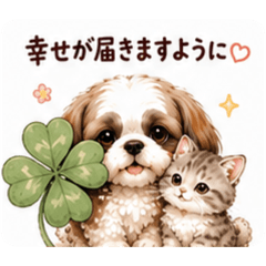 mofumofu studio_20260509190540