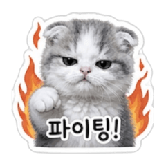 Lucky Cat2_20260511062318