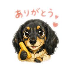 monaco ChihuahuaKaninchen Dachshund
