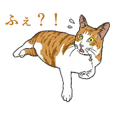 Mugi-chan Cat Stickers
