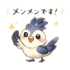 Maeng Maeng bird