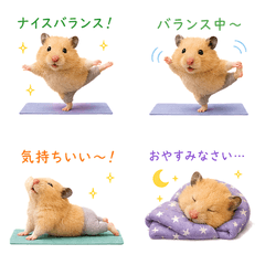 Reru-chan Yoga & Pilates Stamps