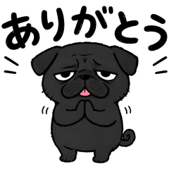 Kedarui Black Pug Stickers