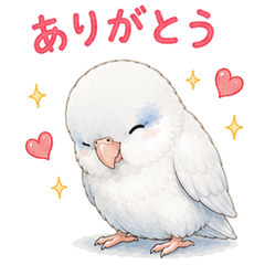 Monzaemon the Parrotlet