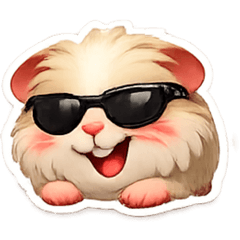 Happy happy Guineapig