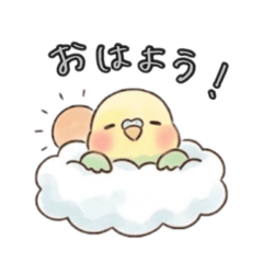 SHA_20260428003100