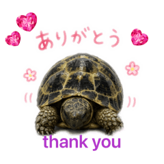 mikkity_20260427234510