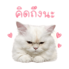 Kanom Phing khap