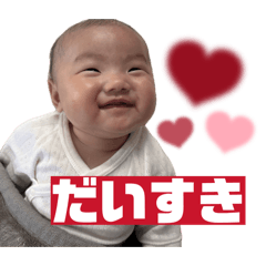 Shuna_20260508151137