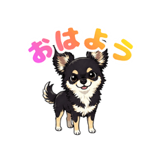 Funny Chihuahua Stickers