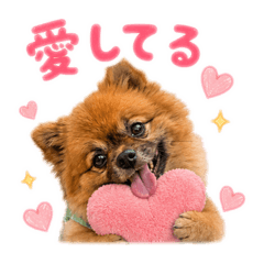 izumi_20260509020346