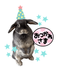 hime_20260509194410