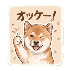 Koko_20260509193700