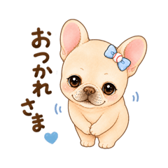 kurupan_20260512060056
