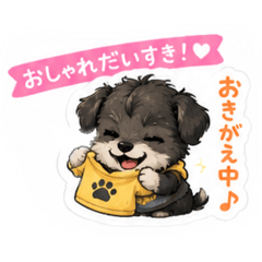 My puppy_20260509142932