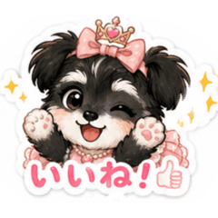 My puppy_20260510092607