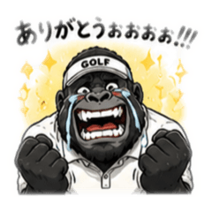 daiking_20260511215354