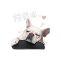 芋頭憨吉小生活