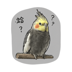 自閉了