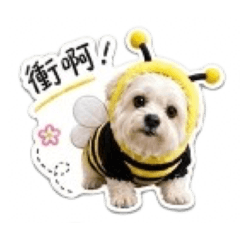 歐小白來了～