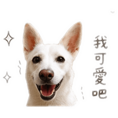 butter.doggg