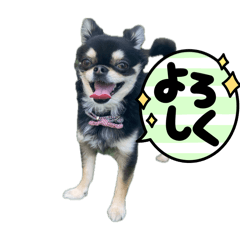 Yuko_20260509195120