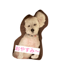 Mai_20260509195242