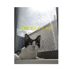 r_20260509195308