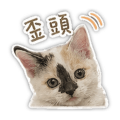 點點咪
