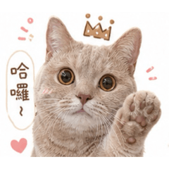 Wooniの日常生活篇