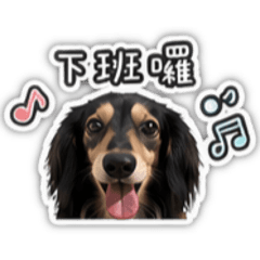 一些上班日常