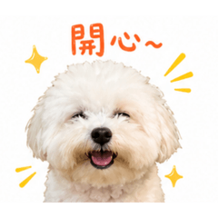 麻糬本丸